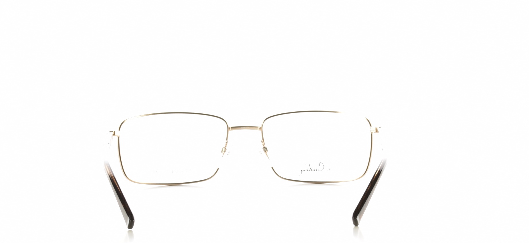 Rama ochelari vedere Pierre Cardin